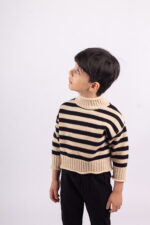 WD1233 بلوفر شتوي مخطط ياقة عالية – كلاسيك - Image 6