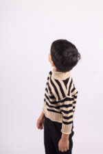 WD1233 بلوفر شتوي مخطط ياقة عالية – كلاسيك - Image 7