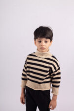 WD1233 بلوفر شتوي مخطط ياقة عالية – كلاسيك - Image 8